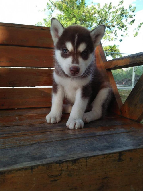 45702050 2019103904821979 2329261056402128896 n