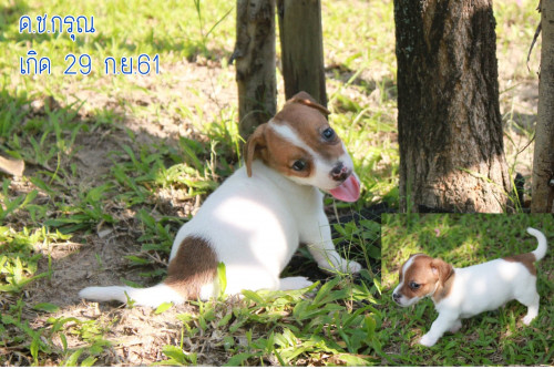 45722943 304393803619728 3741495558011879424 n (1)