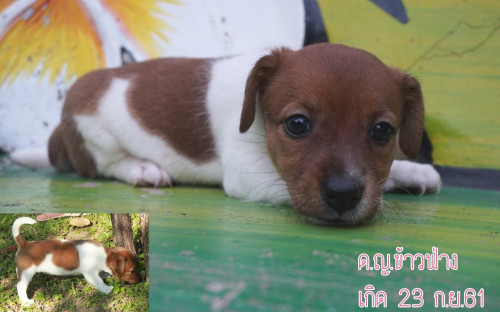 45862126 271039680111428 6477576771389620224 n