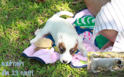 45862156 325074641378448 1370196671681527808 n (1)