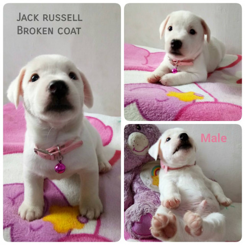 timeline 20181115 195934