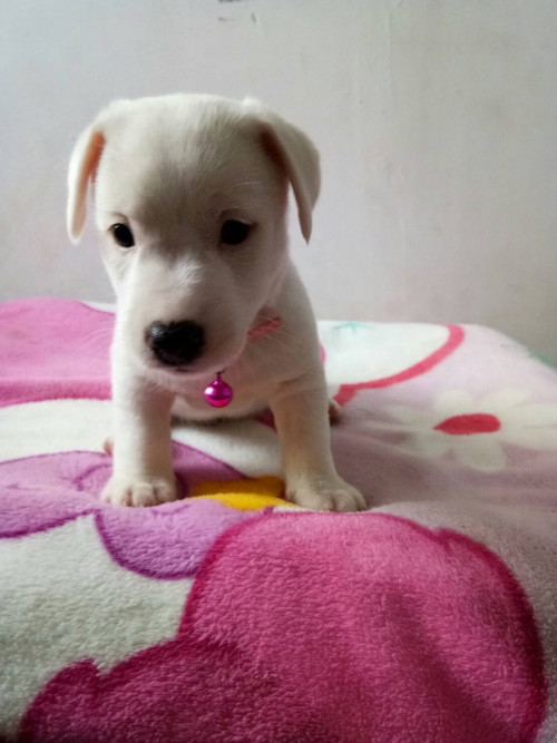 timeline 20181115 195945