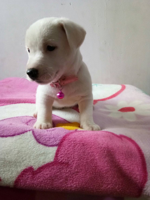 timeline 20181115 195946