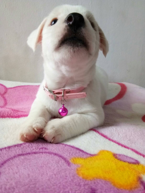 timeline 20181115 195947