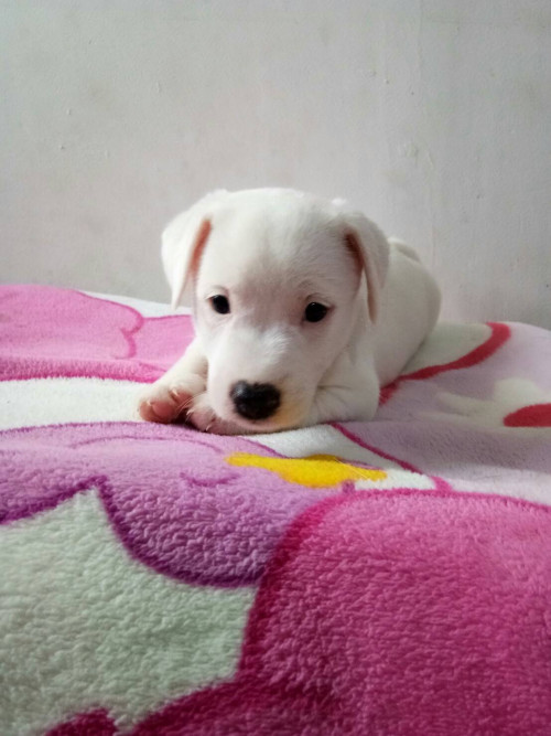 timeline 20181115 195950