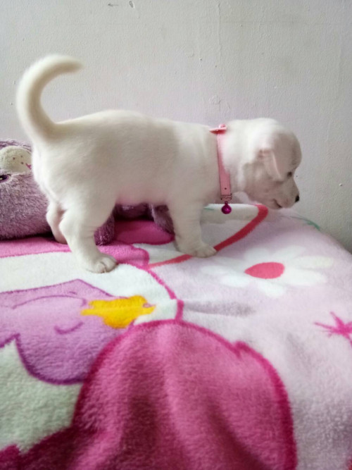 timeline 20181115 195953