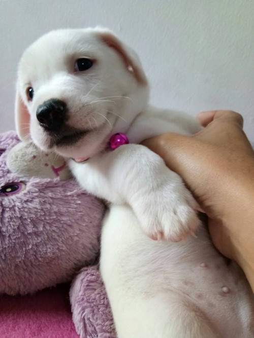 timeline 20181115 195955