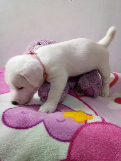 timeline 20181115 200033