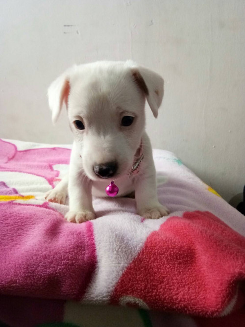 timeline 20181115 200048