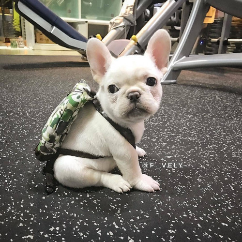 44677117 174924816790513 7553062502135584860 n