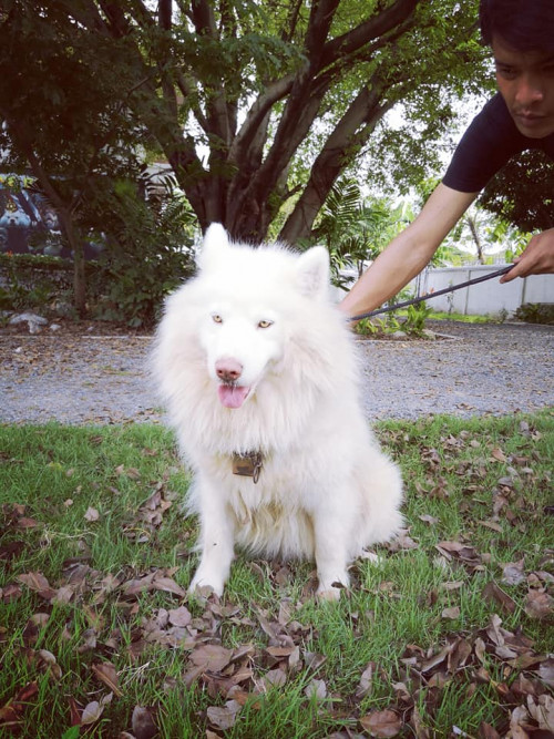 46389750 119371902398747 8936897211405434880 n