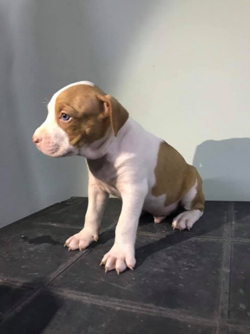 46492845 473278109828036 5096274482511740928 n