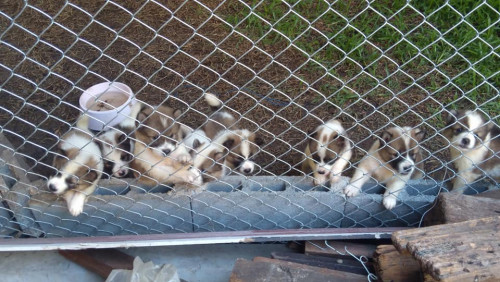 43278501 10204853599897258 8818514078638014464 n