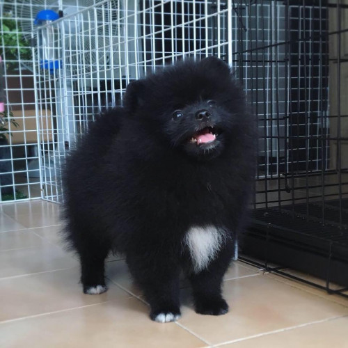 46282584 2492261687481422 7926911982186266624 n