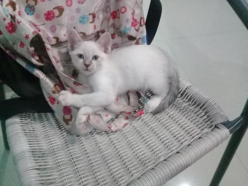 46450977 274005273258987 3700444767402852352 n