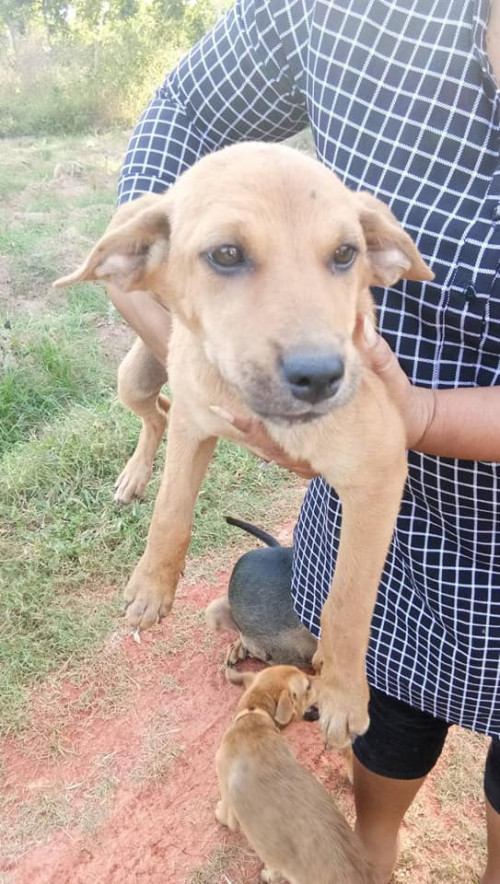 46508692 274780043181510 6922721673166716928 n