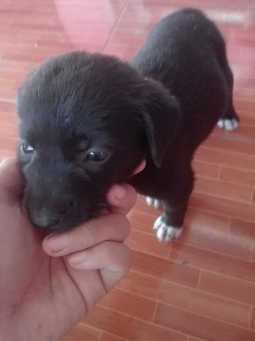 46516770 346990249437517 3475831348055244800 n