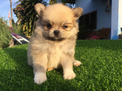 46629309 739878273046124 1675372261479022592 n