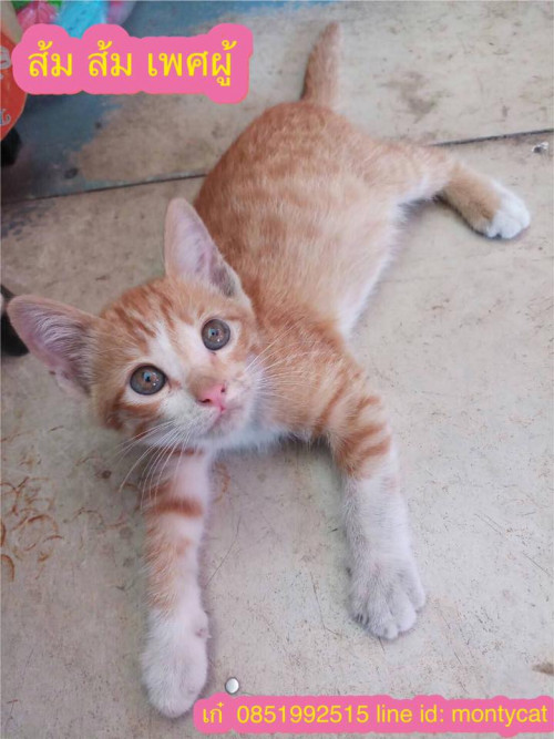 47132075 2359672847437140 4879068812302876672 n