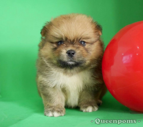 47297180 267967137214296 847215387564048384 n