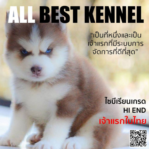 42434063 2112399142128302 1978558856216707072 n