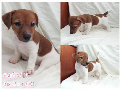 47574012 324717978365583 3210350825259925504 n