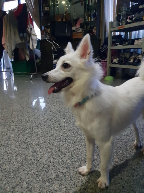 47685681 2111510069161324 3397652214439739392 n