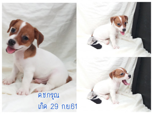 48359689 566360917108456 4807306703424978944 n