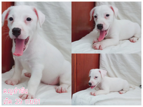 48362006 208243730112725 2593711993932218368 n