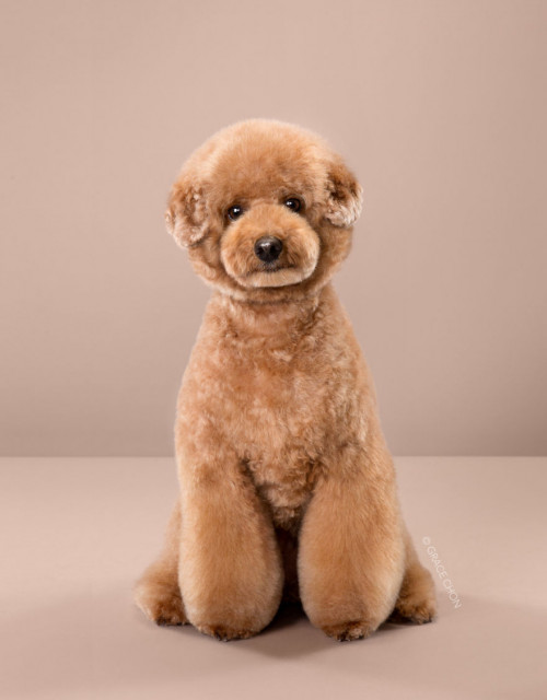 13Buddy2 wide 5bf2e57bbe2bd 880