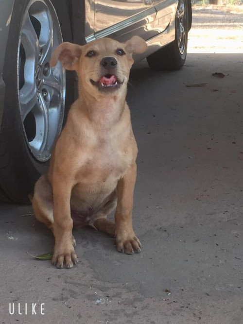 49948184 2269184616446689 837397865419505664 n