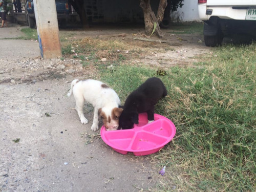 49864259 243223373236406 3320800917208432640 n