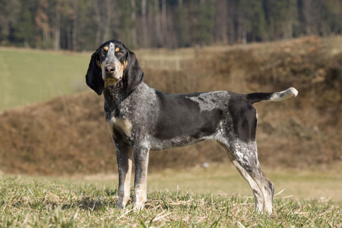 3 307445 3043 full 13455525