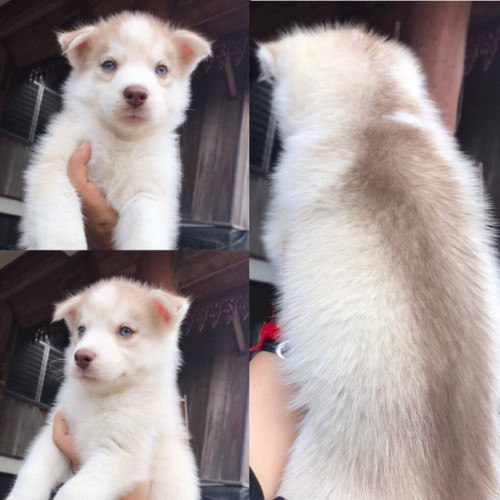 51017150 297709014271614 5962936519919403008 n