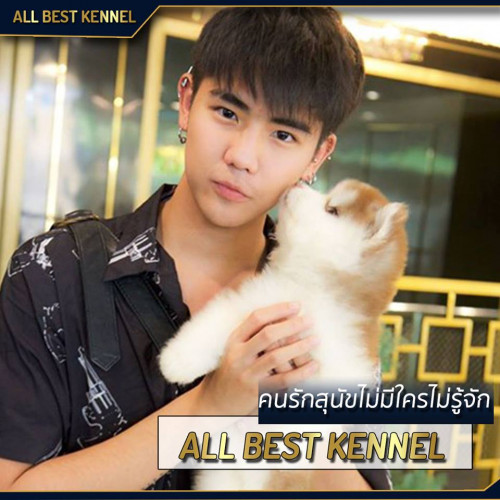 45228754 2165170323517850 3233400793751093248 n