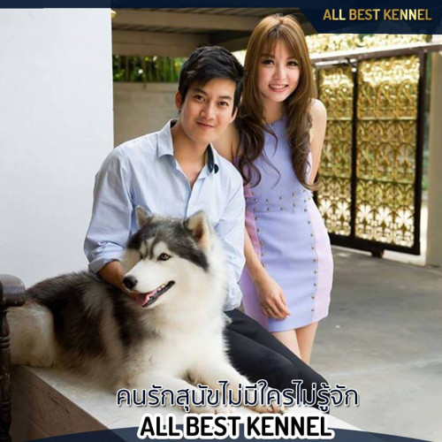 43047875 2123578107677072 8966521971667894272 n