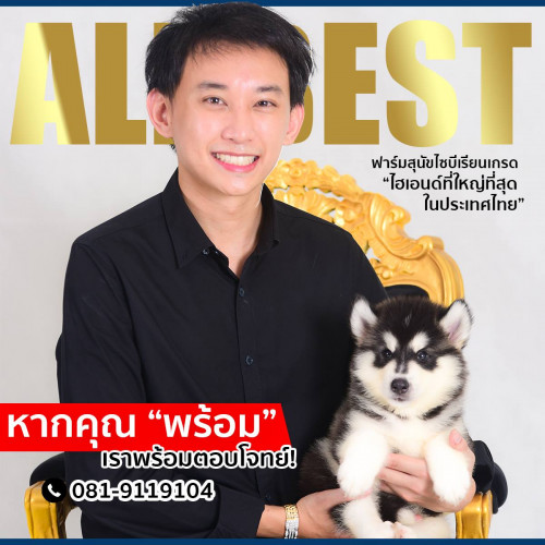 46888775 2199099043458311 4328379942539624448 o