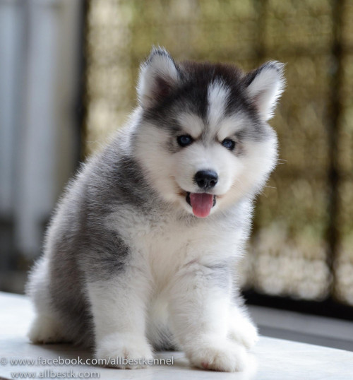 11779871 1001116173256610 7401794290257100438 o