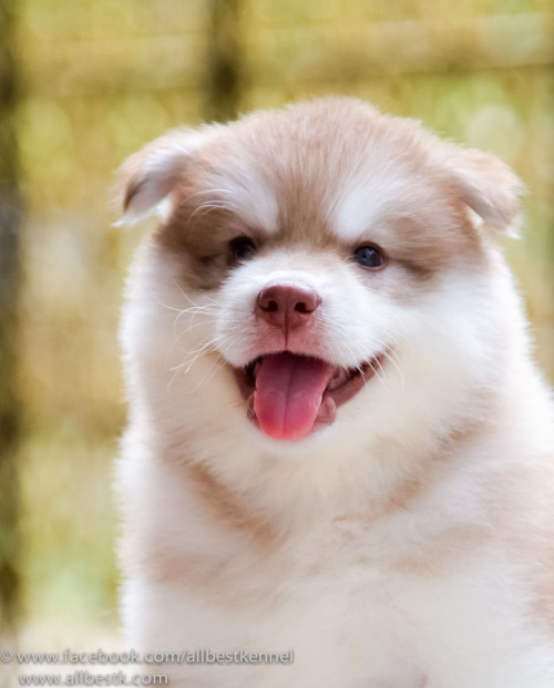 11838680 1006601602708067 3336000216175988205 o