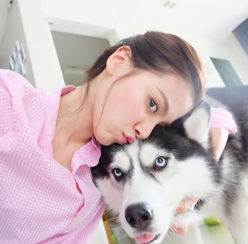 13249792 1608093142840295 2102520235 n