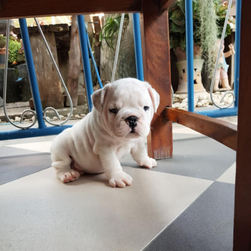 52123747 2234956956590938 8925182782594875392 n