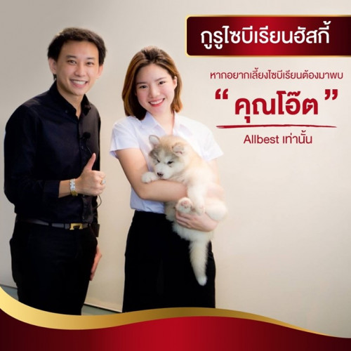 27654426 1797307446970808 7649441622336404777 n