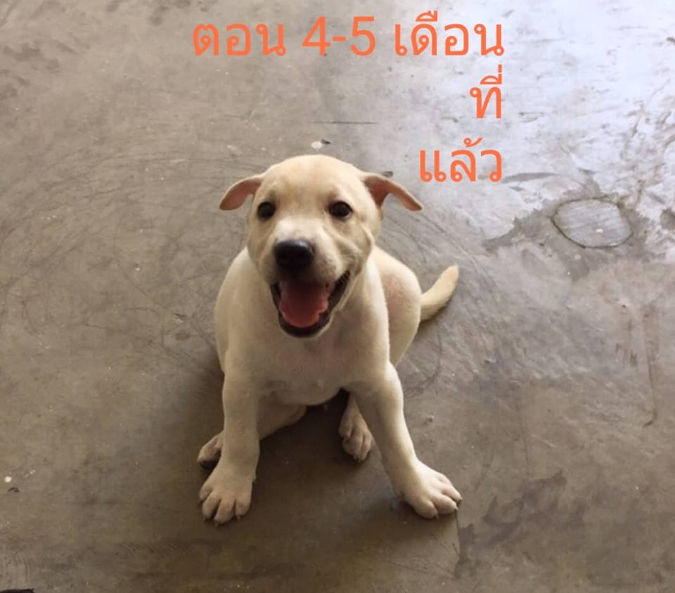My Image 18