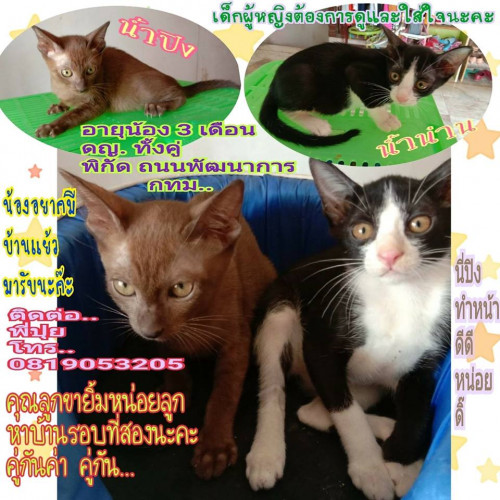 54799264 2075627392534073 4666965357083230208 n