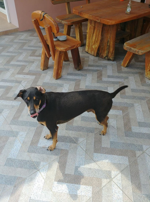 54435150 10157112033977840 9041828596796096512 n