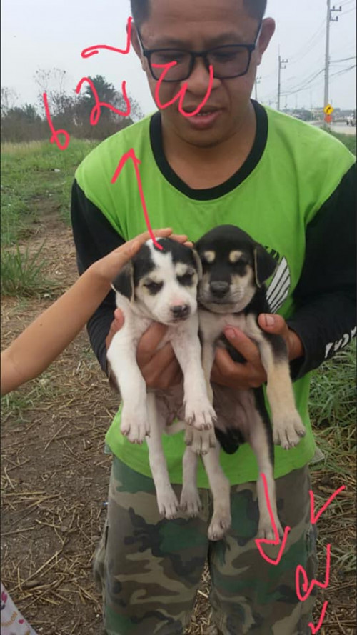 55619260 402195997263855 3975102703301820416 n