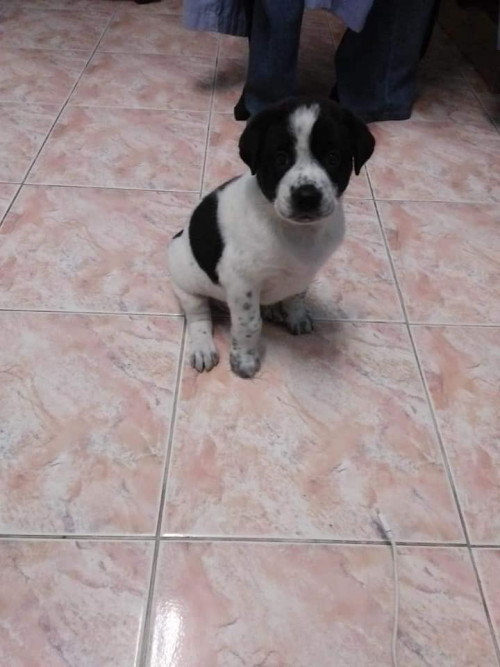 55869282 602118826922221 7388185773163413504 n