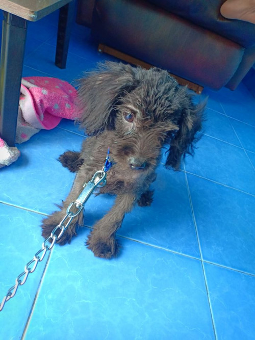 56517065 512447812623152 7067973348243800064 n