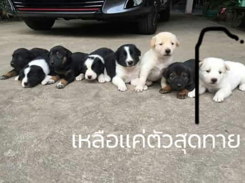 56681286 271427947139410 1512847430528270336 n