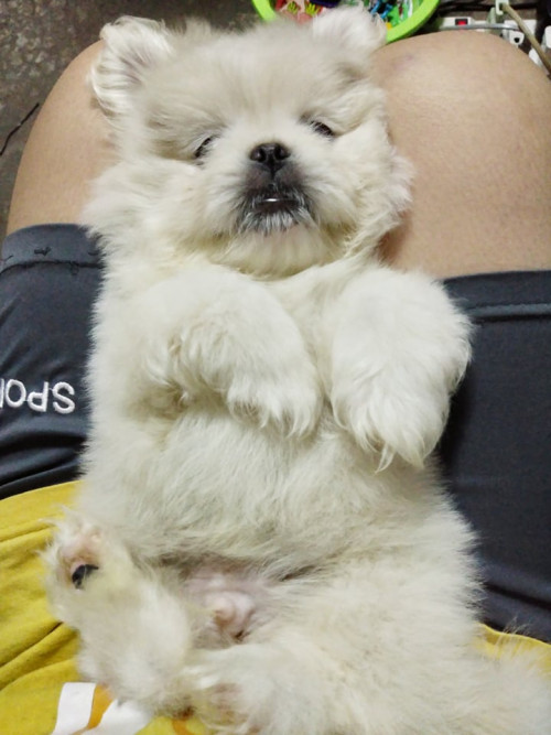 59295137 176259149961056 2926642624469139456 n